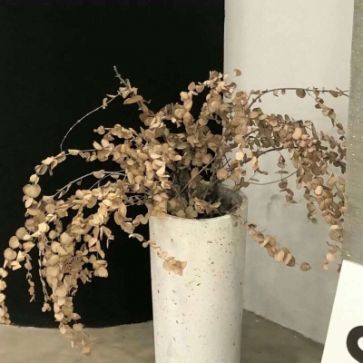 永泰FurryQQ群介绍